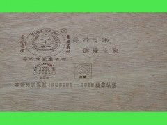 佛山胶合板 知名的胶合板批发商